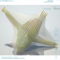 cover cover