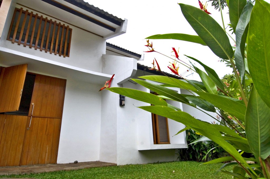 back-yard back-yard