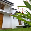 back-yard