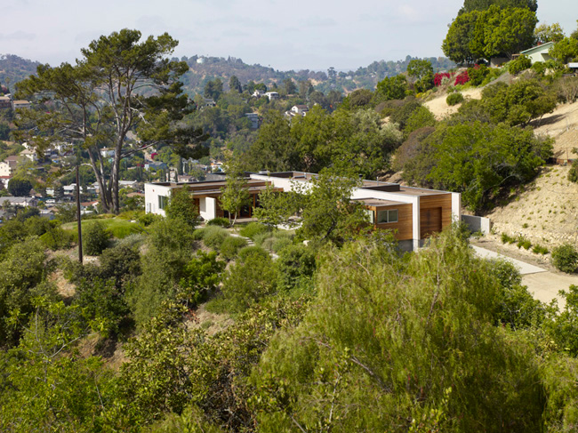 Hidden House / Standard