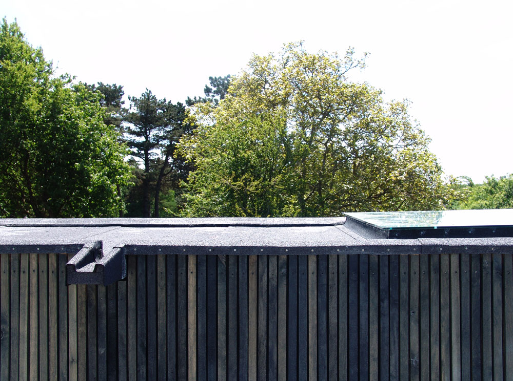 Skybox House / Primus architects