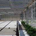 img_0805 img_0805 img_0805
