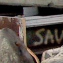 save reutilized materials
