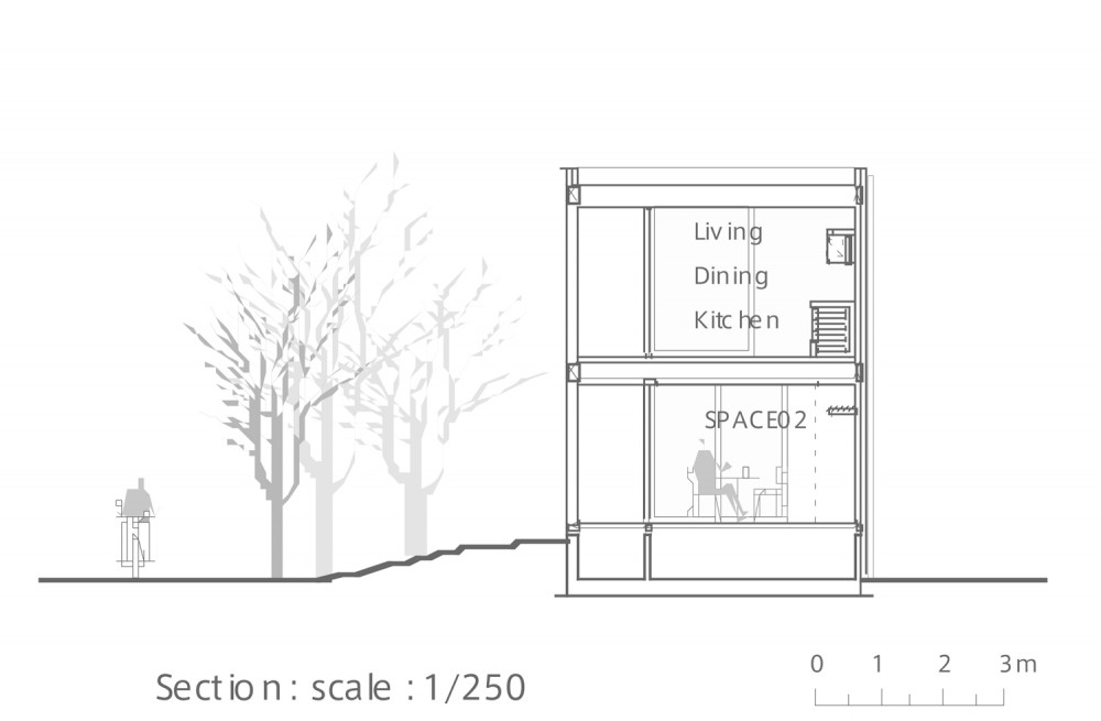 section11 section