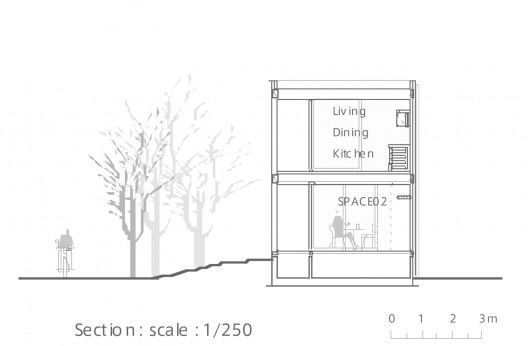 section11 section