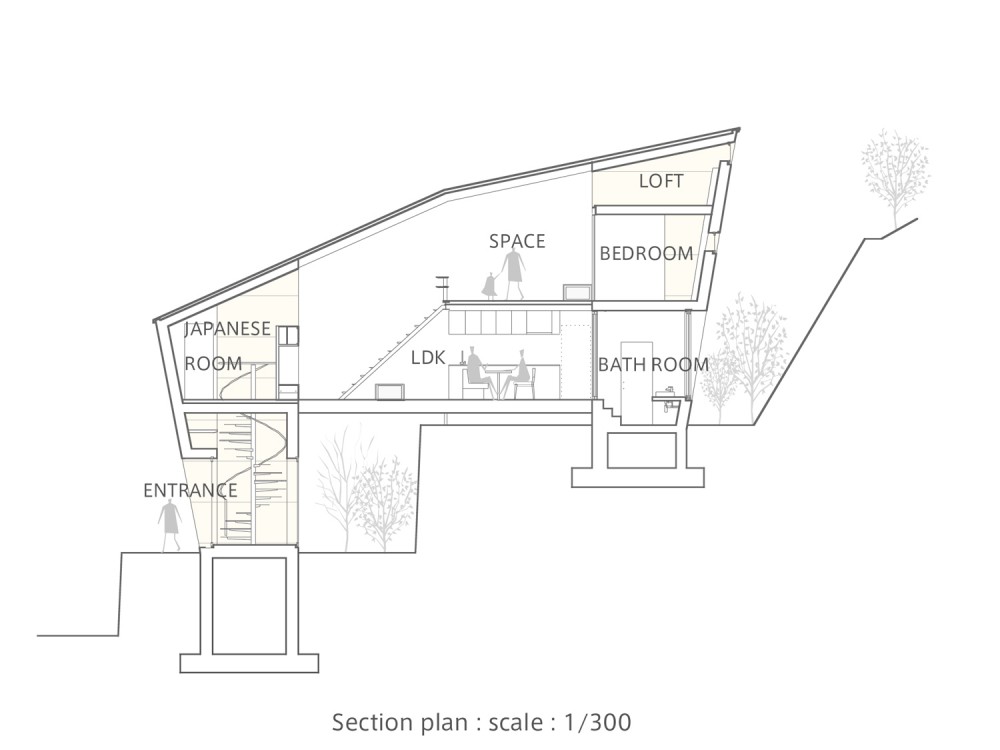section13 section