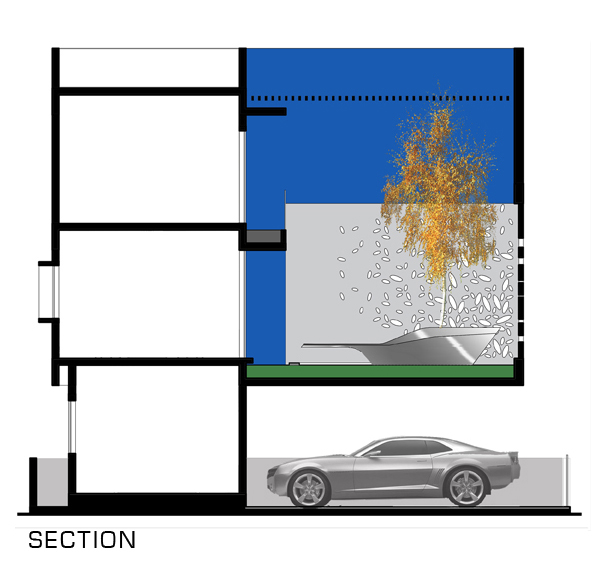 section7 section