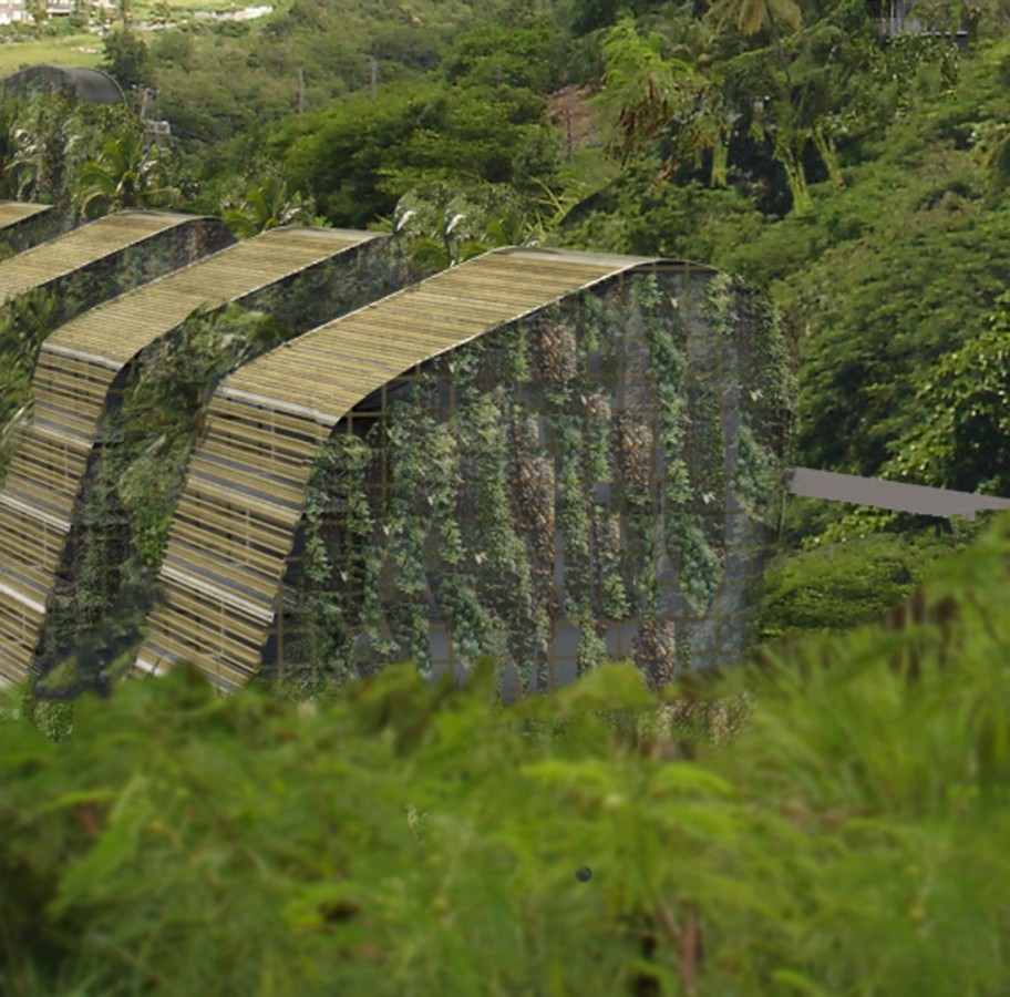 Ecological Resort in Dominica / BURO II