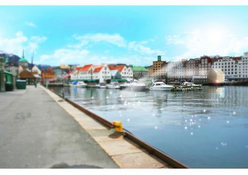 Fish Market / Kjellgren Kaminsky