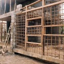 1250276781-mj14 1250276781-mj14