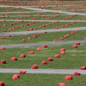 1250477971-field-low-brummund-03 Photo by Karen Brummund