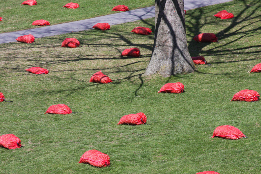 1250477991-field-low-brummund-04 Photo by Karen Brummund