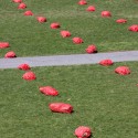 1250478018-field-low-brummund-05 Photo by Karen Brummund