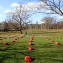 1250478208-field-low-pezo-02 Photo by Mauricio Pezo