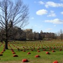 1250478258-field-low-pezo-03 Photo by Mauricio Pezo