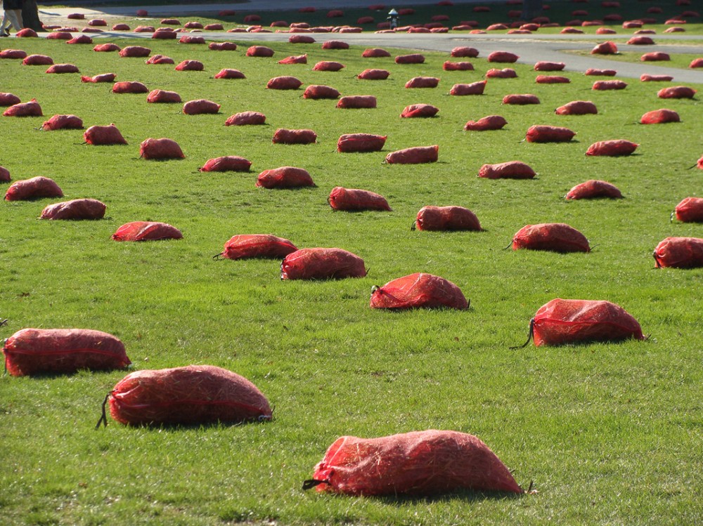1250478344-field-low-pezo-05 Photo by Mauricio Pezo
