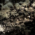 1250697753-arcus 1250697753-arcus