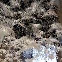 1250697770-arcus3 1250697770-arcus3