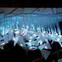 1250697836-morpho2 1250697836-morpho2