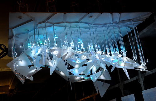 1250697836-morpho2 1250697836-morpho2