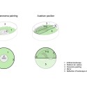1250704009-diagram diagram