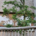 1250862744-lam-architects--exterior-2 1250862744-lam-architects--exterior-2 1250862744-lam-architects--exterior-2