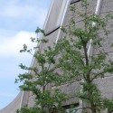 1250862752-lam-architects--exterior-3 1250862752-lam-architects--exterior-3 1250862752-lam-architects--exterior-3