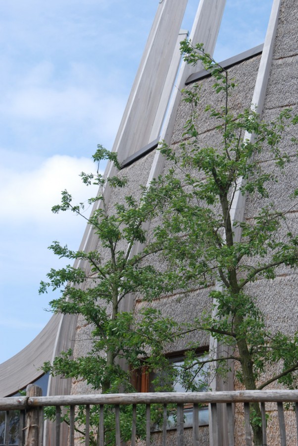 1250862752-lam-architects--exterior-3 1250862752-lam-architects--exterior-3