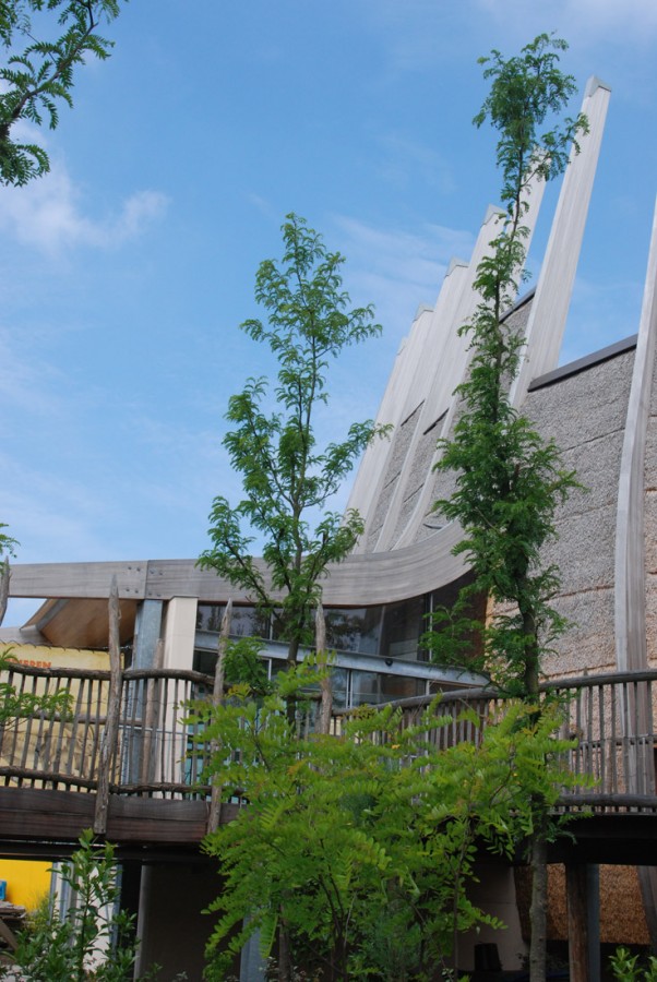 1250862790-lam-architects-exterior-1 1250862790-lam-architects-exterior-1