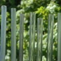 1251389095-dia-123-experiment-tubes-of-water-curtain 1251389095-dia-123-experiment-tubes-of-water-curtain