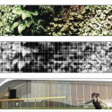 1251687969-leaf-patterned-glass 1251687969-leaf-patterned-glass