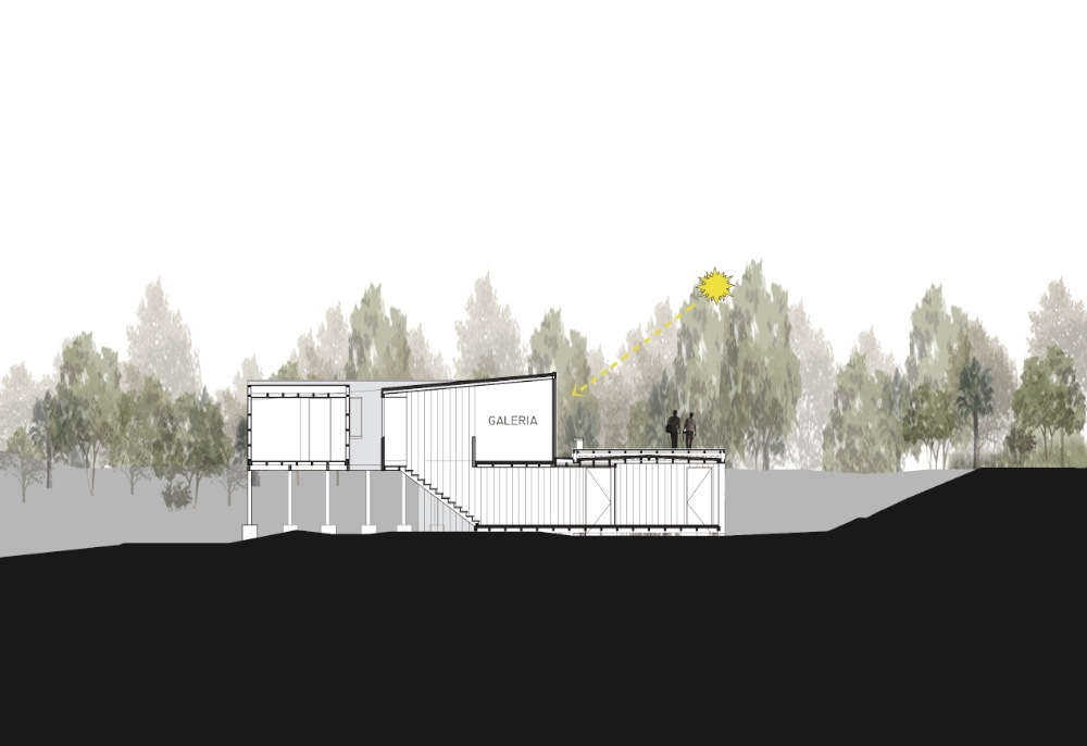 1251746595-1250099042-2-corte section 01