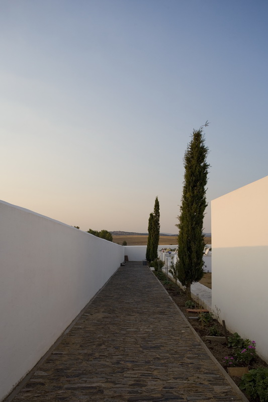 37-cemetery © FG+SG