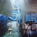 bering_strait_off_arch_08_medium bering_strait_off_arch_08_medium