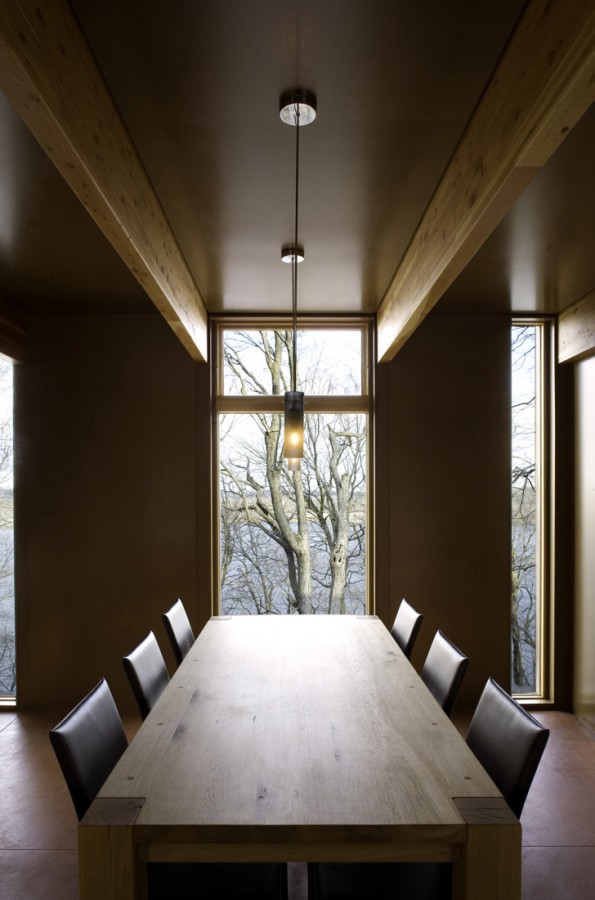 Camouflage House / Johnsen Schmaling Architects