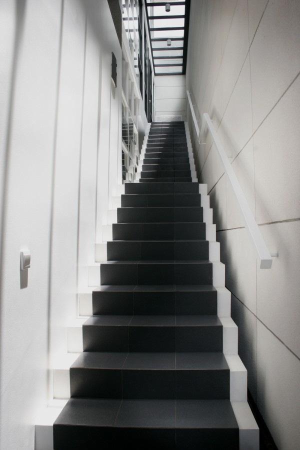 Studio 2 in 1 / TWS & Partners