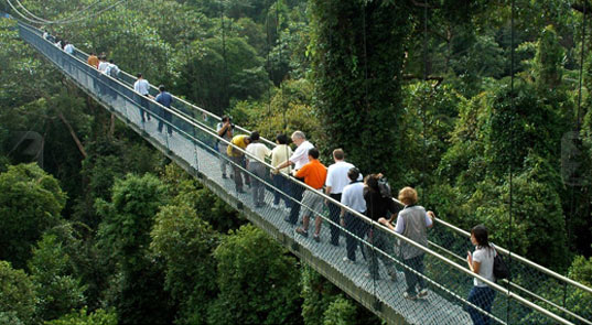 telokpark2 telokpark2