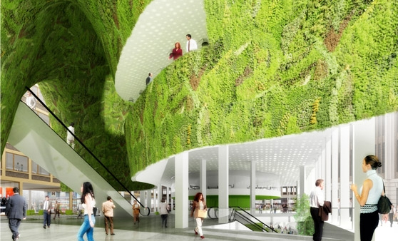 Rotterdam City Hall Extension entries
