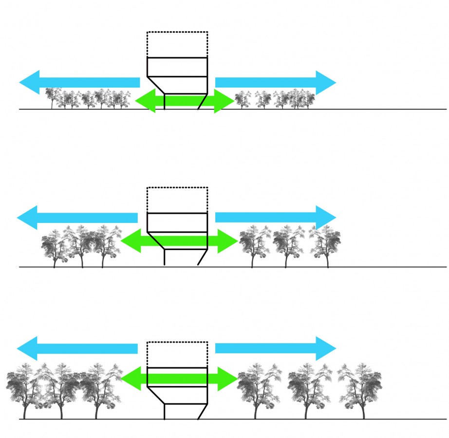 diagrammer_grow trees growth diagram