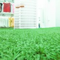 1252358178-12grass 1252358178-12grass