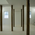 Wooden Forest Apartment / Ikeda Yukie Architects