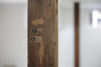 DPP_0004 DPP_0004