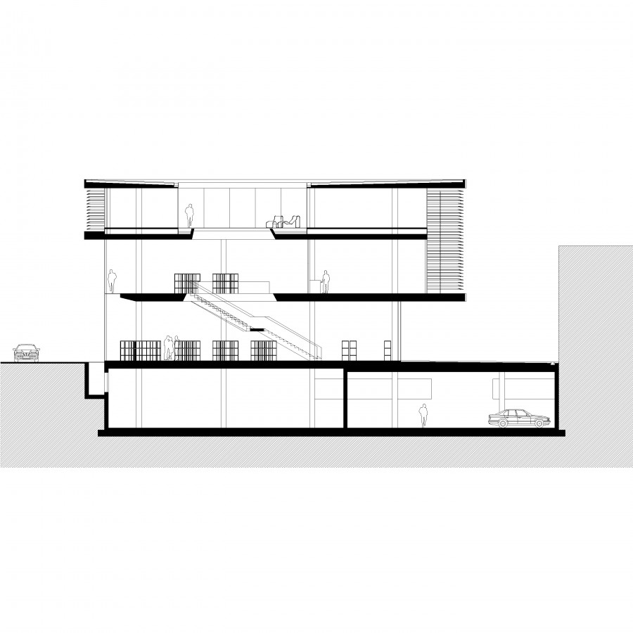 section section