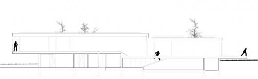 section section