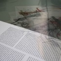 IMG_2215 IMG_2215