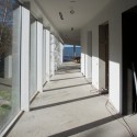 _MG_0137 _MG_0137