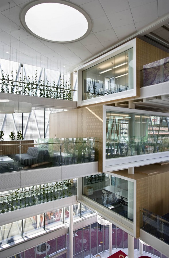 NZI Centre / Jasmax