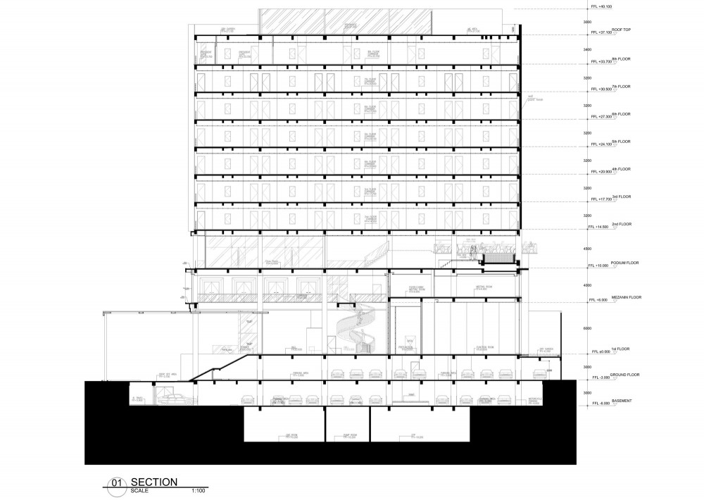 SECTION section
