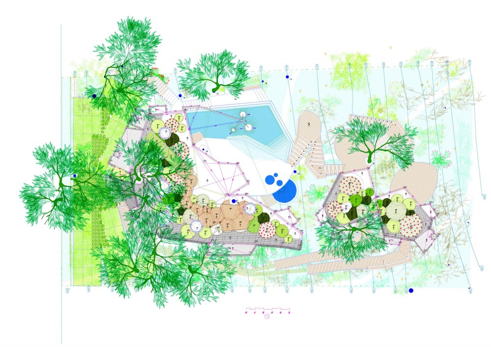 1255719360-vegetation-plan vegetation plan