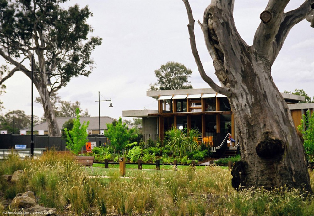 SuppleDesign_Mernda-3 SuppleDesign_Mernda-3